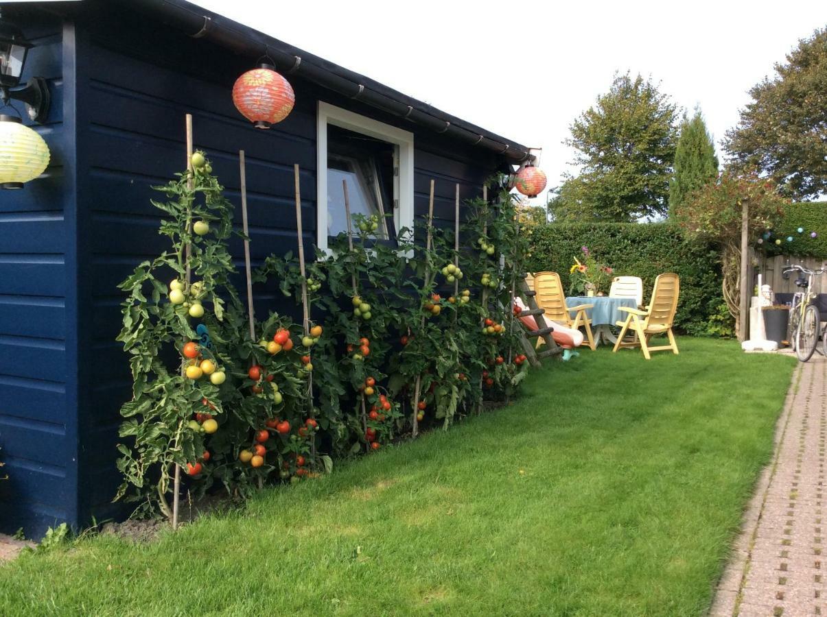 Holiday home Hello Zeeland - Vakantiewoning Porrenaerstraat 2 Aagtekerke